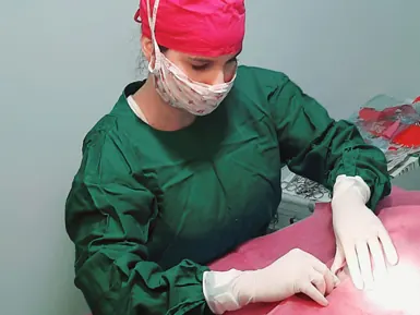 Veterinária paramentada durante procedimento cirúrgico