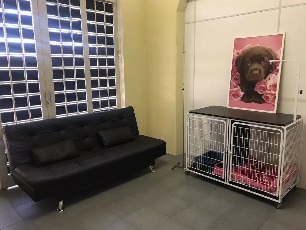 Espaço interno da Riedog com acomodações para pets